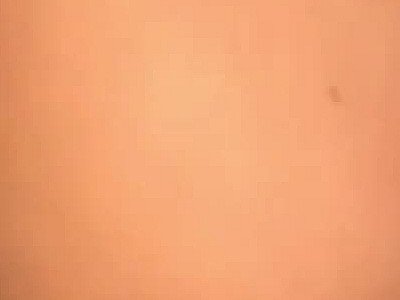 She in love with the Big black cock