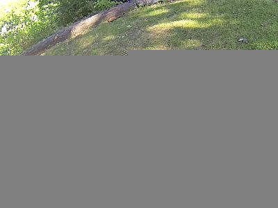 Huge tits lesbians fuck dildo in fake cab