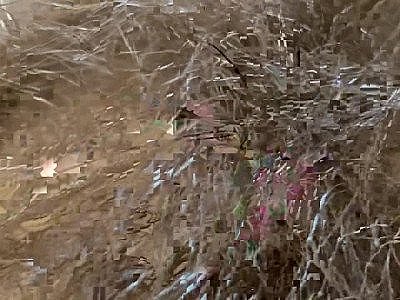 Extreme Close Up Huge Clit Vag Asshole Mouth Giantess Fetish Video Hairy Body