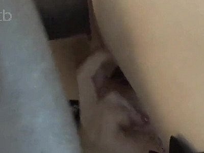 Bride fucks big black cock while her hubby watches and films