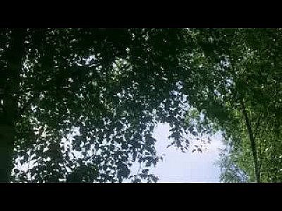 Full classic European porn movie with maid banging